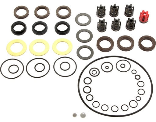 [AMAT3-177231] Kärcher Kit de etansare pompe