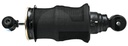 Sachs Amortizor PSE30/13X30A2 mm