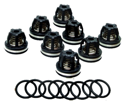 [AMAT3-184676] Annovi Reverberi Set supape - O-ring 670620030 Supapa 6701409050