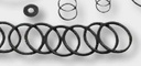 Annovi Reverberi Set membrane BNR - membrana individuala 670550086