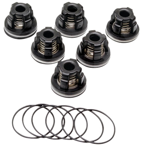 [AMAT3-184680] Annovi Reverberi Set supape - O-ring 670620030 O-ring 670540361 Supapa 6701409050