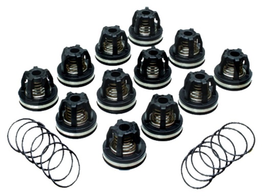 [AMAT3-184743] Annovi Reverberi Set supape - O-ring 670680070 Supapa 670759054