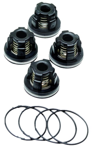 [AMAT3-184790] Annovi Reverberi Set supape - O-ring 670320030 Supapa 670759054