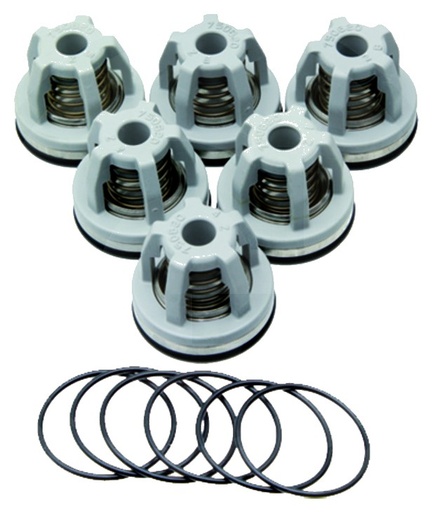 [AMAT3-184817] Annovi Reverberi Set supape - O-ring 670680070 Supapa 6702249050