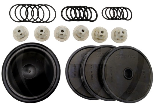 [AMAT3-185675] Comet Kit reparații APS 61 și APS 71 Include: 6x 6701210004700 O-ring 2,62 x 22,22 mm 6x 6701220003500 set de supape 6x 