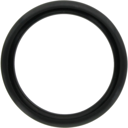 [AMAT3-184987] Annovi Reverberi O-Ring Ø = 31,5 x 4,5 mm
