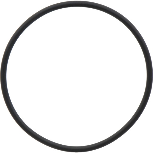 [AMAT3-184431] Comet O-ring Ø = 3,53 x 74,61 mm