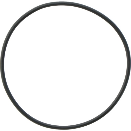 [AMAT3-184432] Comet O-ring Ø = 2,62 x 71,12 mm