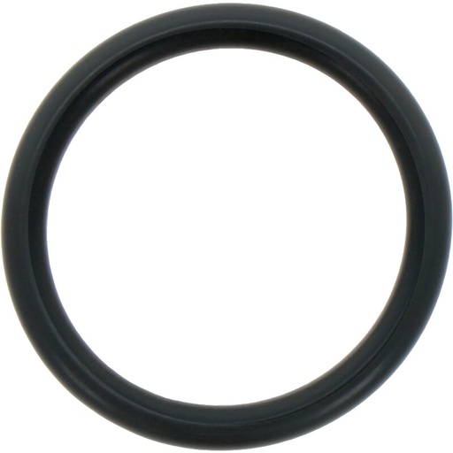 [AMAT3-185880] Annovi Reverberi O-ring Ø = 31,5 x 4,25 mm