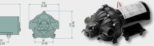 [AMAT3-185904] Comet Pompa electrica EF 4000