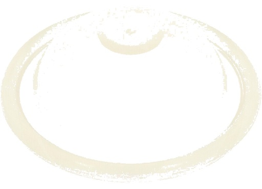 [AMAT3-184608] Comet Diafragma camerei de aer - Desmopan®