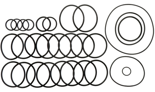 [AMAT3-185319] Annovi Reverberi Set o-ringuri