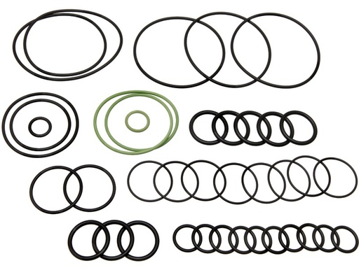 [AMAT3-185324] Annovi Reverberi Set o-ringuri - de la seriile cu nr. 1822013001