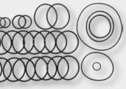 [AMAT3-185331] Annovi Reverberi Set de membrane BlueFlex - membrana individuala 6703040083