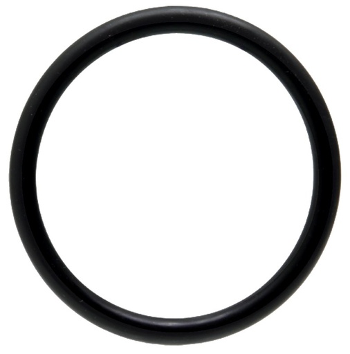 [AMAT3-186861] Fritzmeier O-ring