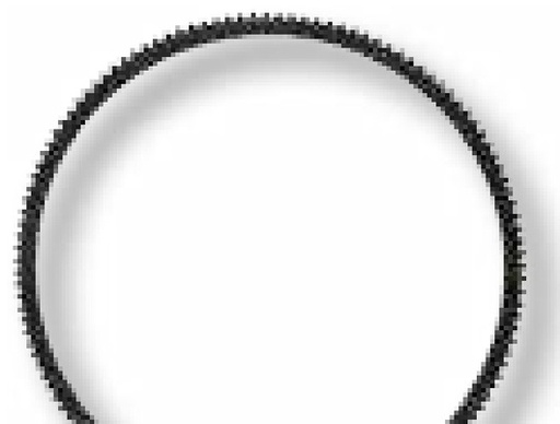 [AMAT3-187975] Coroana dintata demaror Ø 371/341 mm, 115 dinti