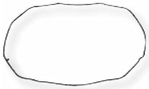 [AMAT3-190277] Inel de etansare