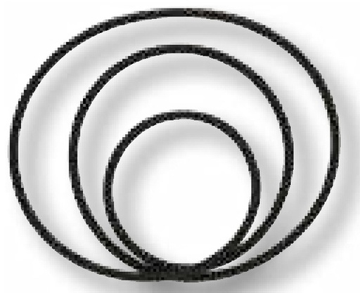 [AMAT3-188883] O-ring Ø = 225,9 x 3,53 mm