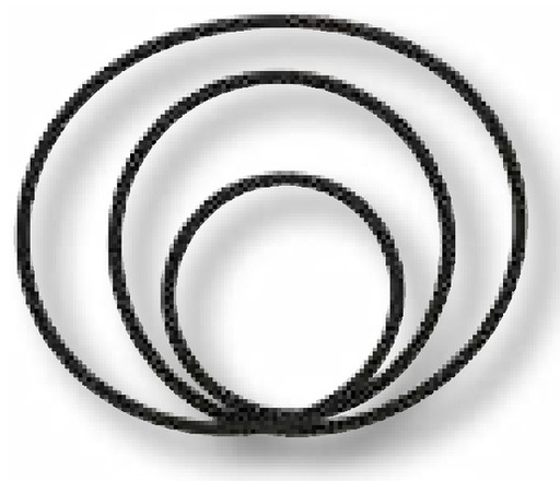 [AMAT3-188911] O-ring Ø 276 x 2 mm