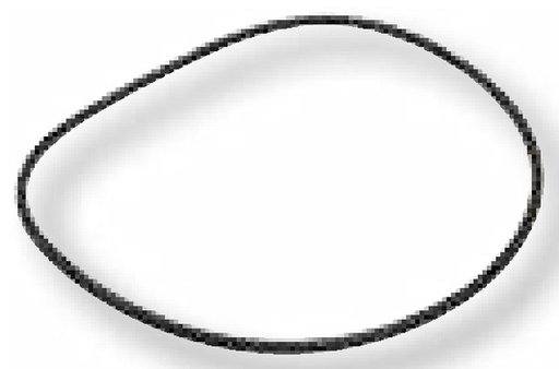 [AMAT3-188919] O-ring Ø = 157,22 x 3,53 mm