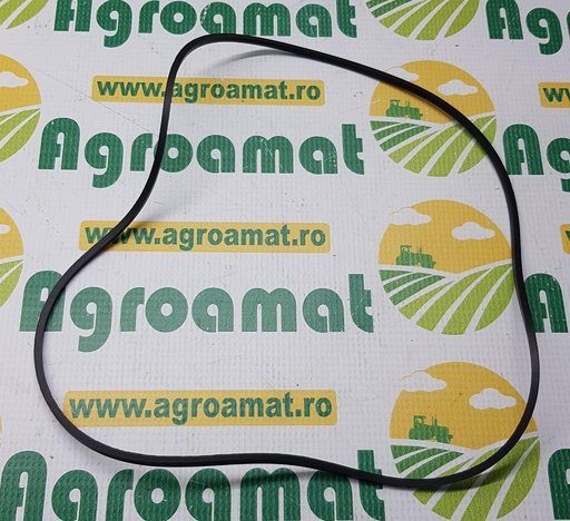 [AMAT1-12064] O-Ring Piston Frana 4997213