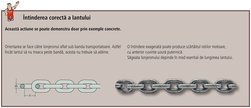[AMAT3-196865] Lant distribuitor ingrasaminte 11 x 31mm