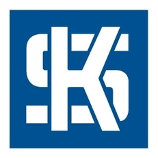 [AMAT3-197163] KS Set pistoane - 3 inele, Ø 101 mm 2,5 mm (inel trapez) / 2 mm / 3 mm