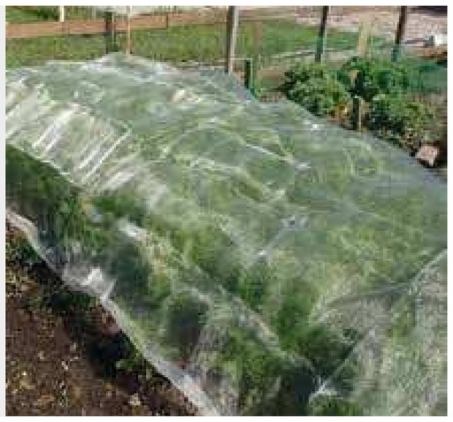 [AMAT3-199678] Plasa anti-insecte pentru usi antracit