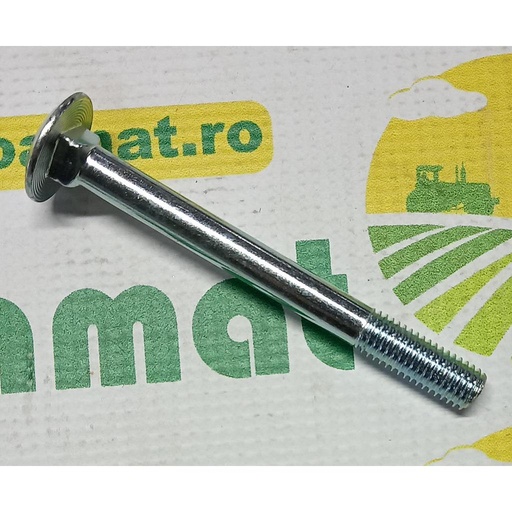 [AMAT1-33690] Surub cap bombat gat patrat M10x100mm