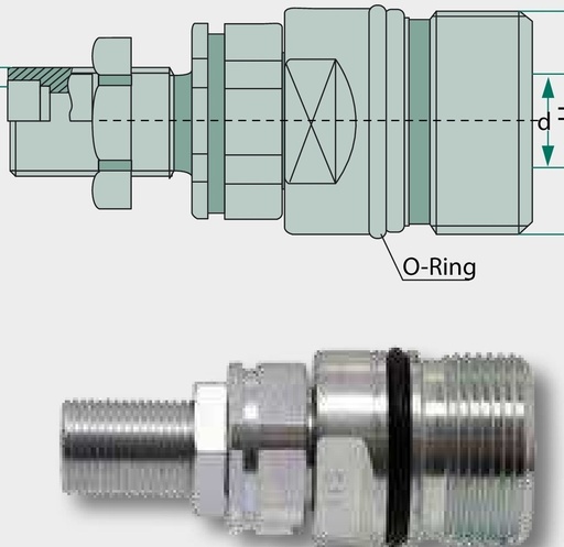[AMAT3-207523] KF-S 14S (M22x1,5) DN12-BG3 - Cupla filetanta jumatate fixa cu perete despartitor