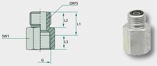 [AMAT3-209752] GA 1.3/16 M-ORFS x 1.1/16 FS-JIC - Adaptoare drepte