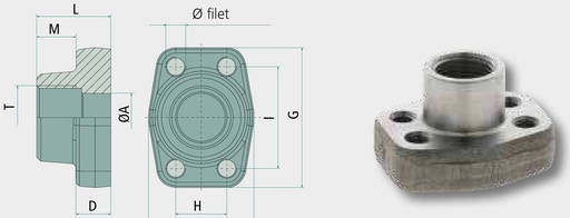 [AMAT3-209873] Contraflanșă SAE 1 "6000 BSP 1” 420 bar