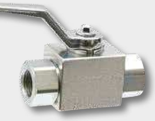 [AMAT3-208211] PISTER BKH 12L DN10 cu orificiu, zincat DN 10