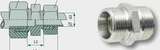 [AMAT3-208266] X-GV-F 33,50 - Racord filetat drept