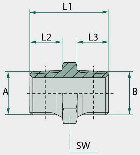 [AMAT3-209067] GA 3/4 M-NPT x 1 M-NPT - Gerader Adapter