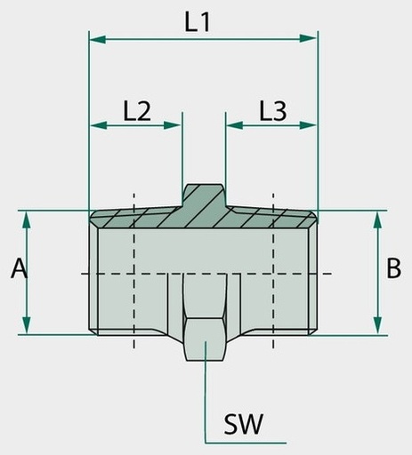 [AMAT3-208564] GA 1 M-BSPK x 1 M-BSPK - Adaptoare drepte