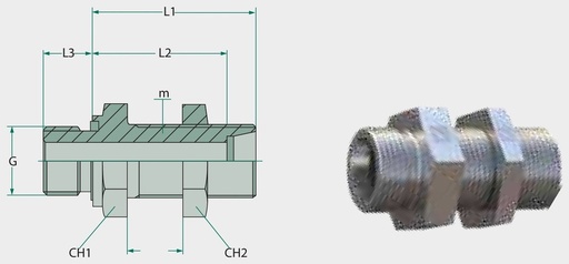 [AMAT3-210438] STAUFF SV 38 S - Racord filetat, perete despărțitor