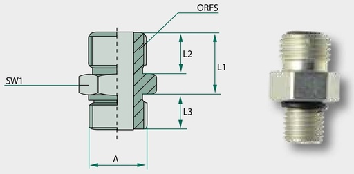 [AMAT3-209586] GA 1 7/16 M-ORFS x 1 M-BSP-WD - Adaptoare drepte