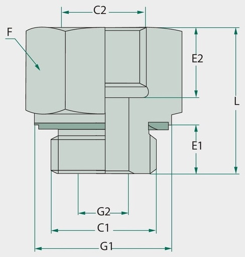 [AMAT3-211790] GA 1/2 M-WD x 3/4 F-BSP L=46 - Adaptoare drepte
