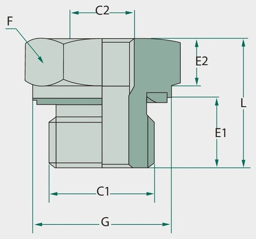 [AMAT3-211811] GA 1.1/2 M-WD x 1/2 F-BSP L=36 - Adaptoare drepte