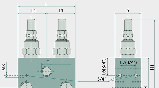 [AMAT3-217960] Oleodinamica Marchesini Supapa dubla de limitare a presiunii VAU 350 bar
