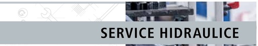 [AMAT3-219023] Supapa de incarcare SLV-12 210 bar