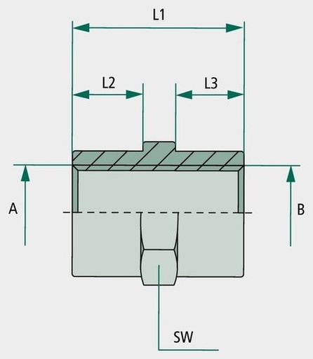 [AMAT3-220741] GA 3/8 F-BSP x 3/8 F-BSP U.V. 25 - Adaptor drept