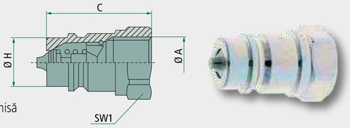 [AMAT3-219777] Faster Stecher IG 1" BSP - Stecher FASTER