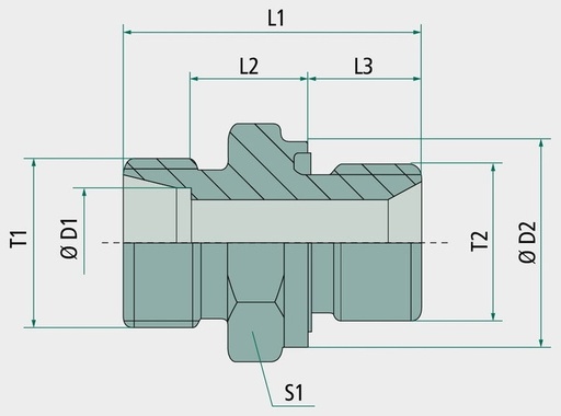 [AMAT3-222479] X-GER 30 S 1 - WD - fara piulita olandeza si inel taietor