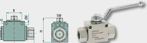 [AMAT3-221759] Robinet BKR-2-DN 06-G 1/4” BSP 6