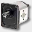 Gr.2 Motor cu roti dintate 6cc EU 1:8 270 bar