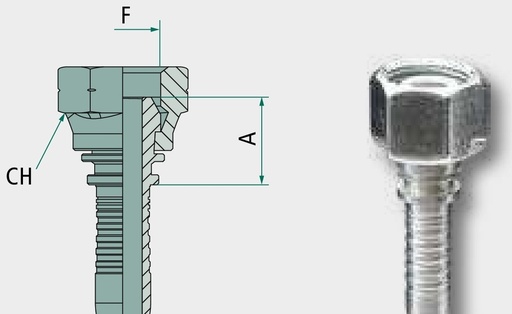 [AMAT3-223361] PN 10 DKM M14x1,5 - Dry Fit