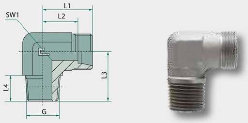 [AMAT3-222906] X-WER 08 L 1/2 KEG - fara piulita olandeza si inel taietor