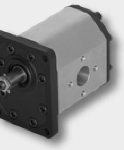[AMAT3-224075] GR-3 Motor cu roti dintate 22cc EU 1:8 250 bar